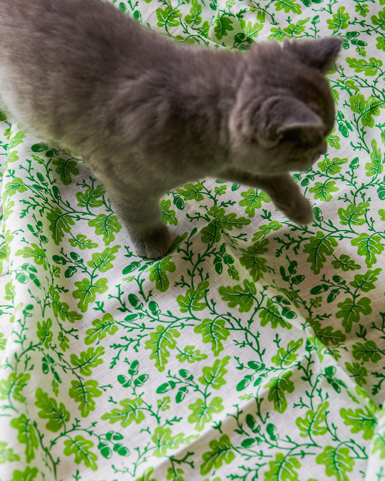 Oak Leaf Linen Fabric
