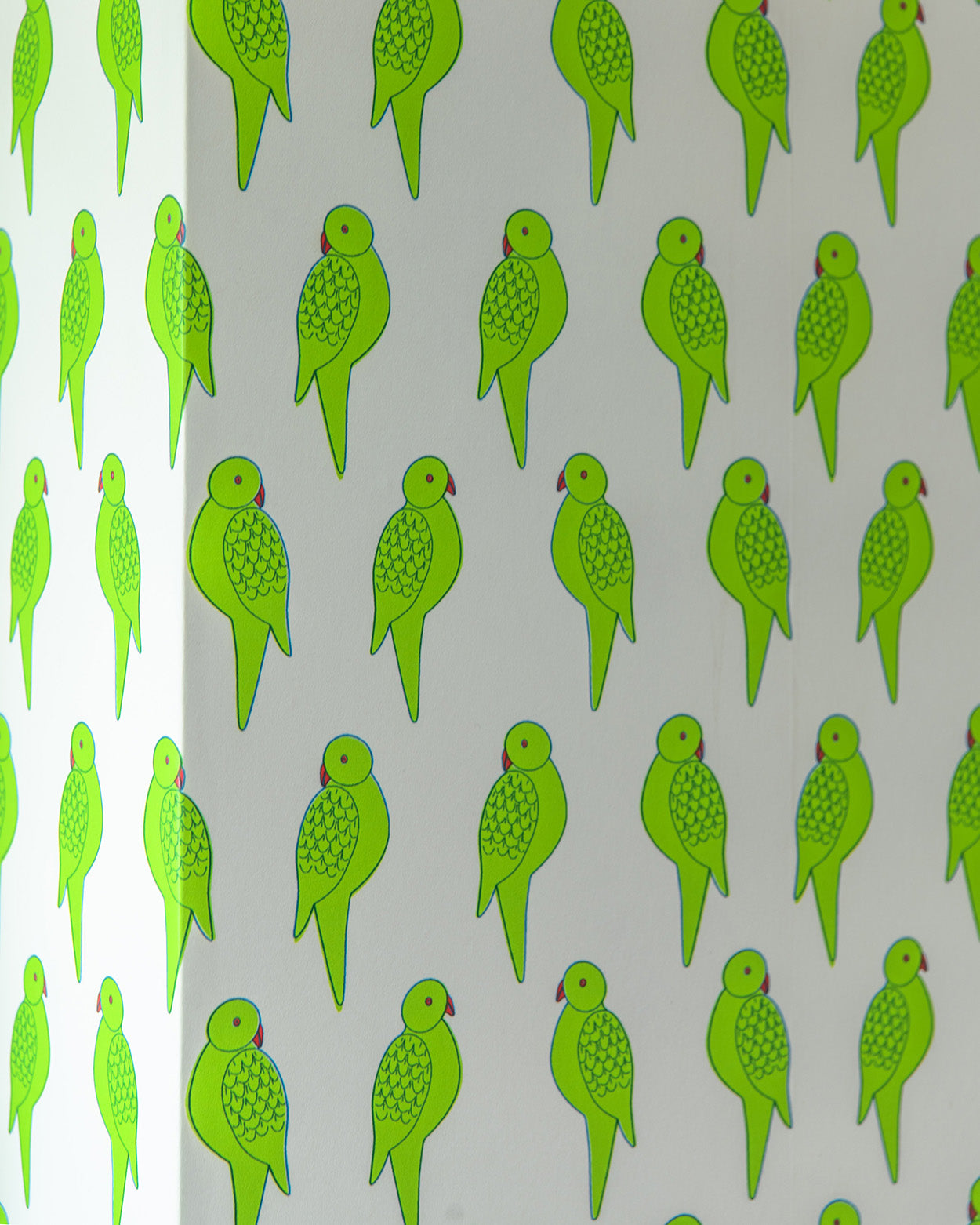 Parrot Wallpaper